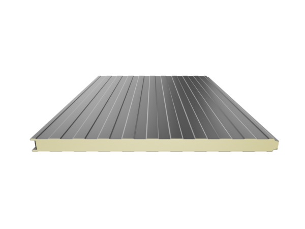 monowall 1000